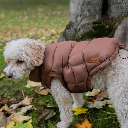Allpetsolutions dog puffer - allpetsolutions,
