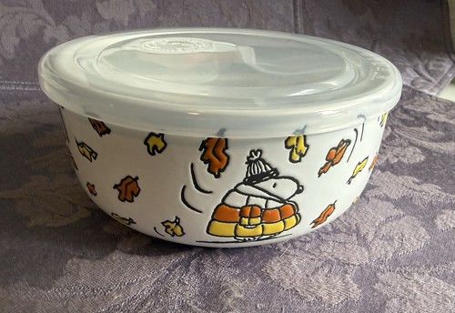 Nwt peanuts fall snoopy puffer - peanuts,